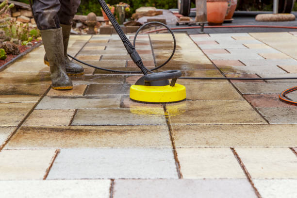Best Animal Enclosure Cleaning  in East Atlantic Beach, NY